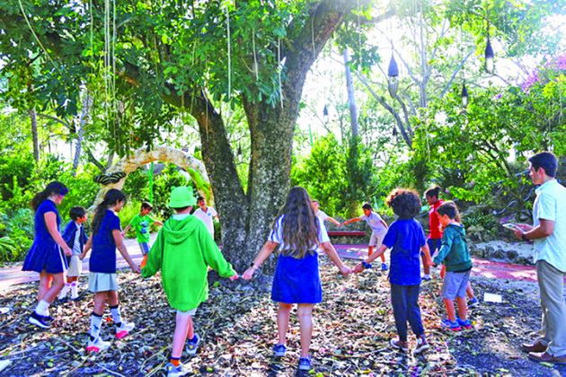 Registration open for Cortada Science Art Academy at Pinecrest Gardens