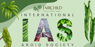 46th Annual International Aroid Society Show and Sale: A Paradise for Plant Enthusiasts