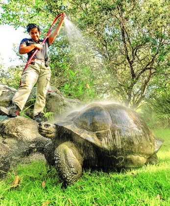 Zoo Miami helps animals cope with summer’s heat