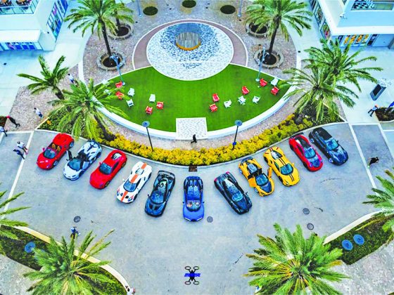 6th annual Exotics Car Showcase at Dania Pointe Sunday, Nov. 12th