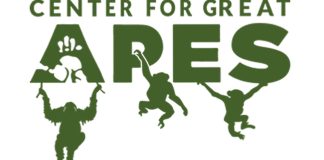 Apes, Beer, Art and Miami