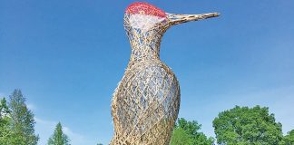 Magnificent giant bird sculptures to take flight at Pinecrest Gardens Magnificent giant bird sculptures to take flight at Pinecrest Gardens