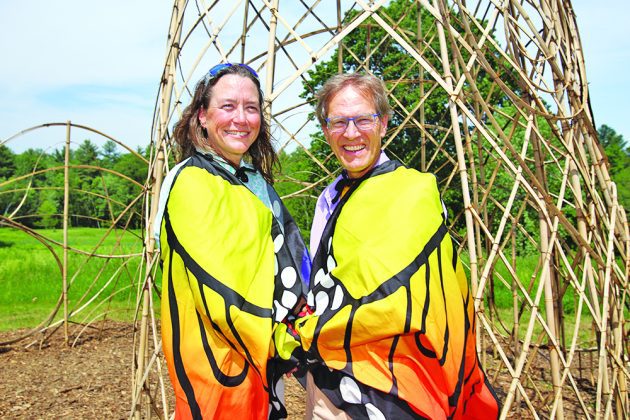 Magnificent 30-foot-tall bird sculptures at Pinecrest Gardens