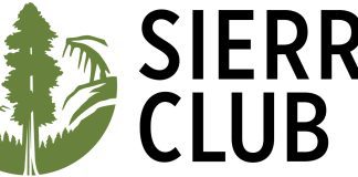 Florida Power and Light Continues to Dominate the Renewable Energy Market in Florida