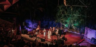 El Festival de Música Medicina Todo El Mundo Dice AHO regresa a Pinecrest Gardens el 18 de noviembre