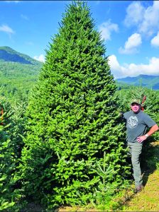 Boys & Girls Clubs to open 2023 Christmas Tree Lot on Nov. 20