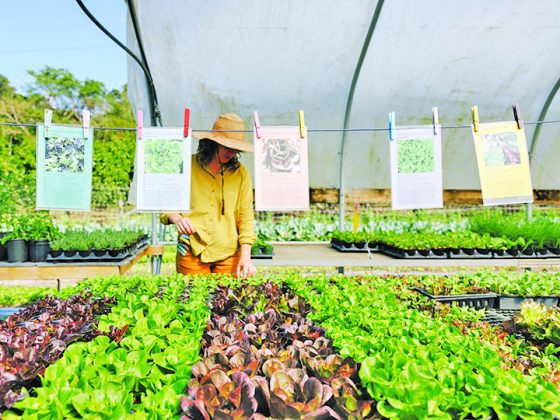 Farmers Month returns with new deals, experiences to discover in South Dade