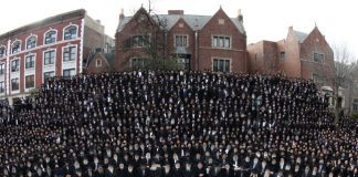 300 Florida Rabbis Heading to Brooklyn