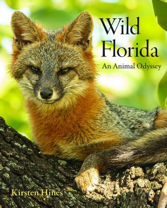 Kirsten Hines book introduces Florida’s unique array of animals