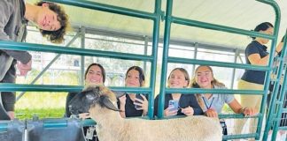 M-DCPS magnet program prepares students for veterinary careers M-DCPS magnet program prepares students for veterinary careers