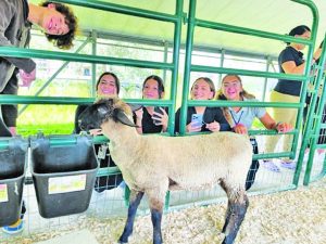 M-DCPS magnet program prepares students for veterinary careers