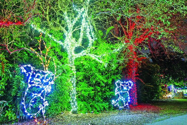 Zoo Lights returns to Zoo Miami on select nights through Dec. 30