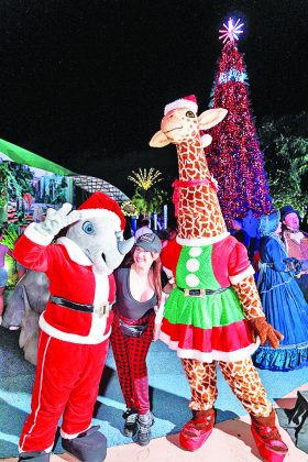 Zoo Lights returns to Zoo Miami on select nights through Dec. 30