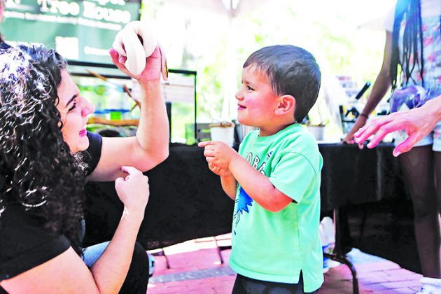 Music and nature dazzle at Pinecrest Gardens