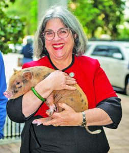 Mayor grants pardons to two pigs at Latin Café’s annual ceremony