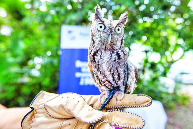 Tropical Audubon Society invites community to celebrate Bird Day