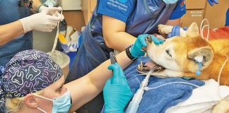 Dental Week at Zoo Miami : Time for regular checkups Dental Week at Zoo Miami : Time for regular checkups