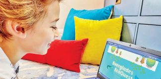 Everglades Foundation launches ‘Everglades EcoQuest,’ to engage kids in, out of school Everglades Foundation launches ‘Everglades EcoQuest,’ to engage kids in, out of school