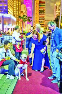 Magical night for ‘Paws on Board’ gala on the Seafair Mega Yacht