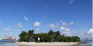Parks and Recreation Department and Office of Resilience and Sustainability Working for Conservation of the Biscayne Bay Islands