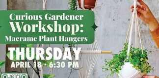 Jazz, Short Play Reading, Candlelight, Macramé, and more Jazz, Short Play Reading, Candlelight, Macramé, and more