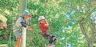 Treetop Trekking: Thrilling outdoor aerial adventures in jungle setting Treetop Trekking: Thrilling outdoor aerial adventures in jungle setting
