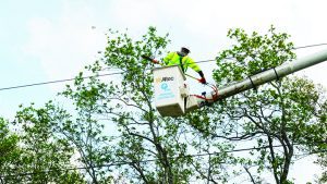 Florida Power & Light enhances grid with planned local upgrades