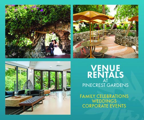 Celebrate your special occasion at Pinecrest Gardens