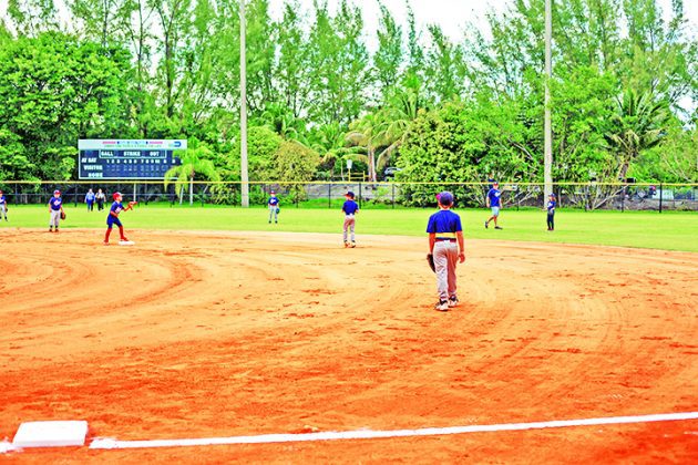 Rebirth of Chapman Field is county bright spot