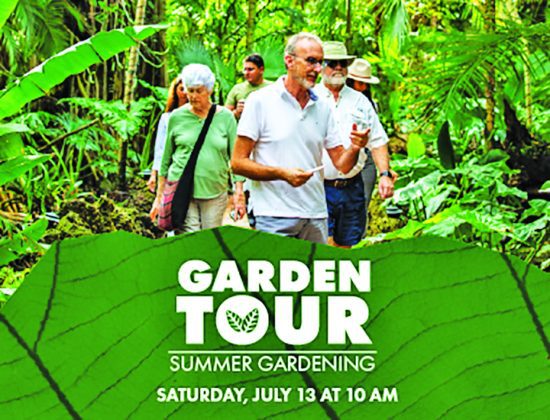 Summer fun at Pinecrest Gardens…