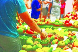 Fairchild Tropical Botanic Garden announces Mango Festival dates