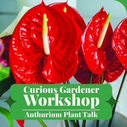 Plant Talk, call for artists, plant collections at Pinecrest Gardens