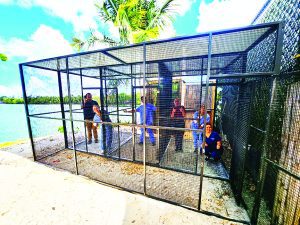 Pelican Harbor Seabird Station announces new bird enclosure