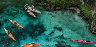 RSVP through SweatPals: Manatee Island Yoga | $103.00-$133.00/person