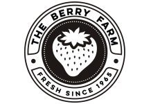 South Florida Grow Season and Land Prep: A Beginner’s Guide