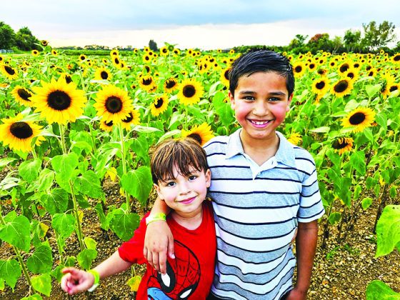 The Berry Farm brings fall fun to Miami’s countryside