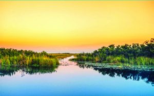 The Everglades Foundation joins with Brightline to raise awareness of water source