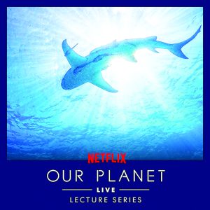 Moss Arts Center to present Netflix’s Our Planet Live: Life on Our Planet