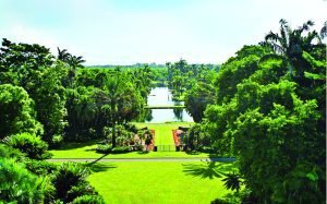 Fairchild Tropical Botanic Garden Caribbean Festival set Sept. 14