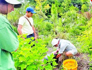 Cutler Bay Fall Restoration Cleanup scheduled Nov. 16