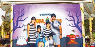 Paws4you Howloween Festival 2024: A Night of Fun and Festivities Paws4you Howloween Festival 2024: A Night of Fun and Festivities