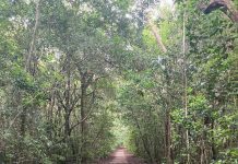 West Matheson’s Untold Story