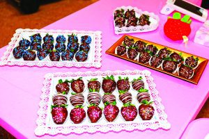 Fairchild Tropical Botanic Garden to present Festival of Chocolate