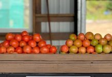 The Market By The Berry Farm Officially Opens in Miami