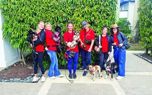 Paws4Rescue hosts donation drive, animal meet-and-greet