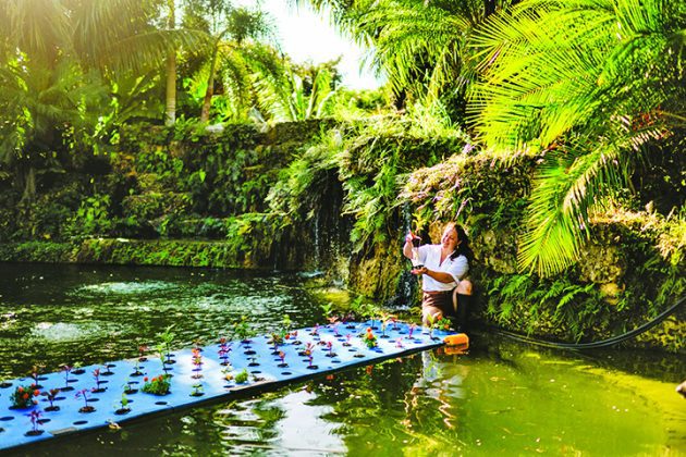 Village of Pinecrest Pilots Floating Flower Islands