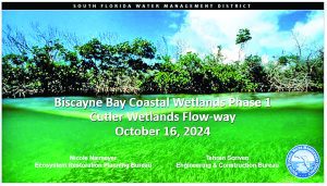 Coastal Wetlands Restoration project underway in Cutler Bay