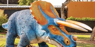 Zoo Miami presenting ‘Dinos Among Us’ through Sept. 14 Zoo Miami presenting ‘Dinos Among Us’ through Sept. 14