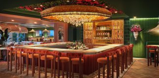 ¡VIVA! by Chef Ray Garcia Job Fair