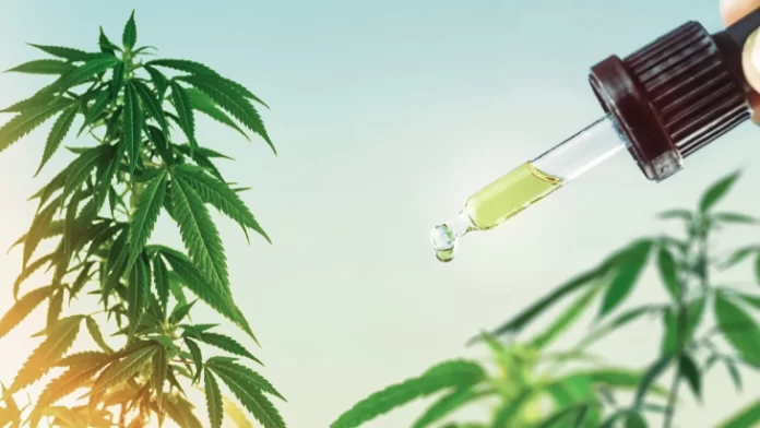 cannabis-hemp-plant-oil